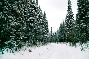 Similar image 21993190