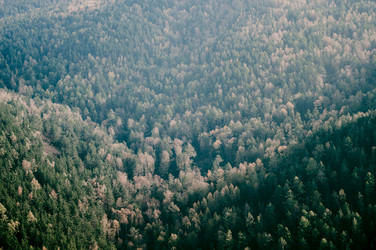 Similar image 21993194