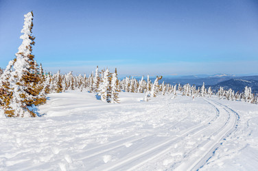 Similar image 21993526