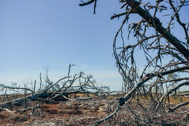 Similar image 21993528