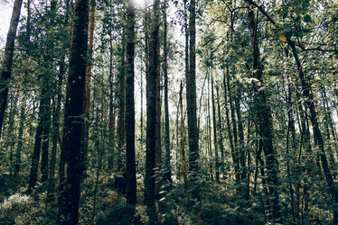 Similar image 21993530