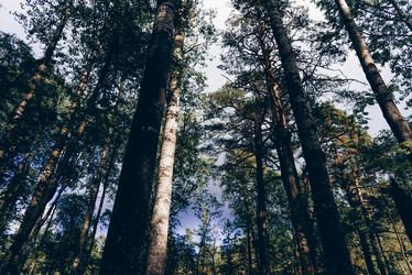 Similar image 21993532