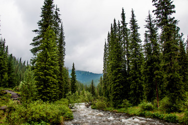 Similar image 21993566