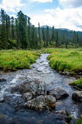 Similar image 21993567