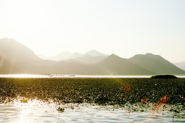 Similar image 21993806