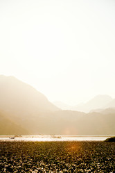 Similar image 21993807