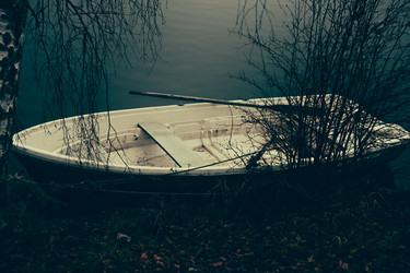 Similar image 21993809