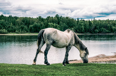 Similar image 21993197