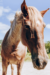 Similar image 21993199