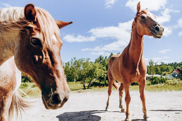 Similar image 21993200