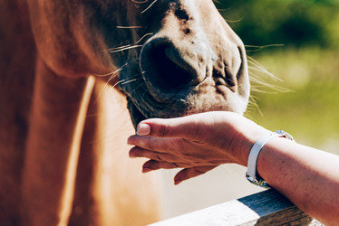 Similar image 21993201