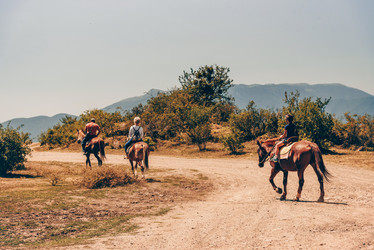 Similar image 21993202