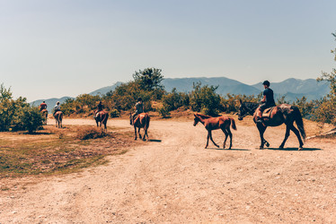 Similar image 21993203