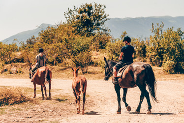 Similar image 21993204