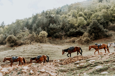 Similar image 21993205