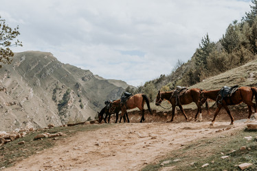 Similar image 21993206