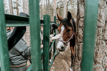 Similar image 21993207