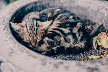 Similar image 21993208