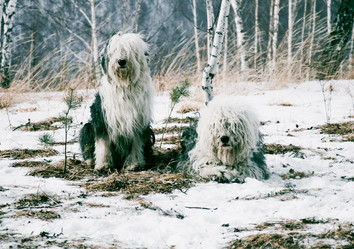 Similar image 21993210