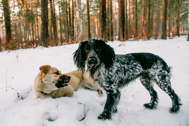 Similar image 21993215