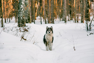 Similar image 21993216