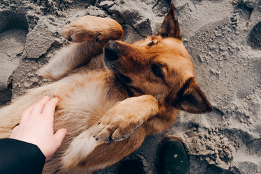 Similar image 21993217