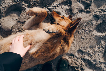 Similar image 21993218