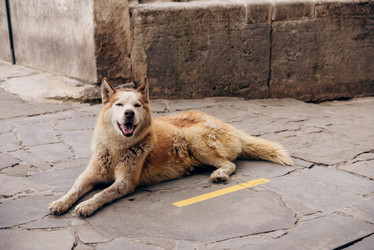 Similar image 21993219