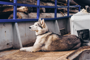 Similar image 21993220