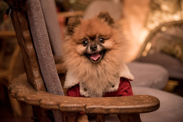 Similar image 21993221