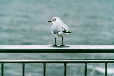 Similar image 21993226