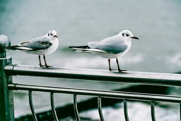 Similar image 21993227