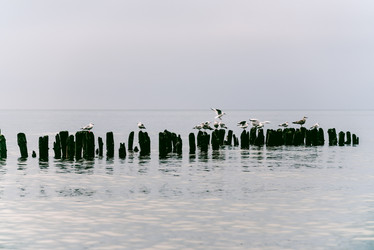 Similar image 21993228