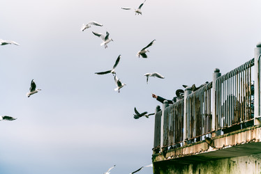 Similar image 21993229