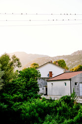 Similar image 21993230