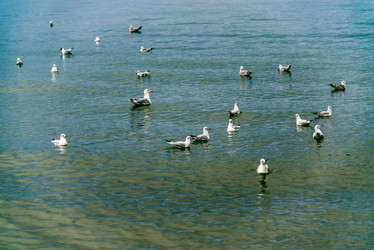 Similar image 21993231