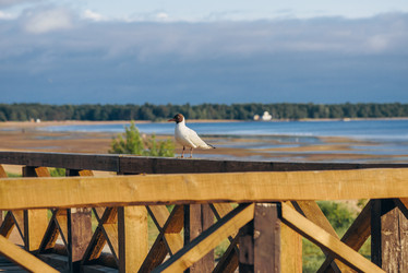 Similar image 21993871