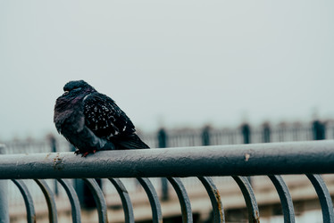 Similar image 21993872