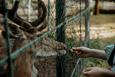 Similar image 21993876