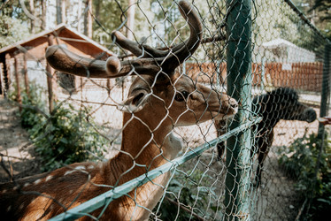 Similar image 21993877