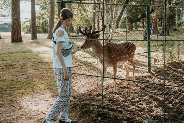 Similar image 21993878