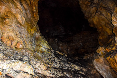 Similar image 21993886