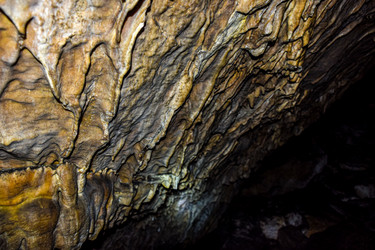 Similar image 21993888