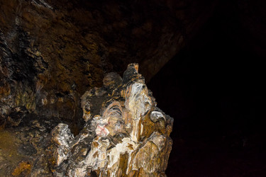 Similar image 21993893