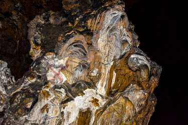 Similar image 21993894