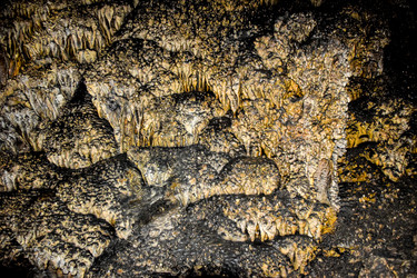 Similar image 21993904