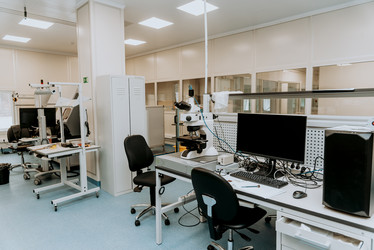 Similar image 21993905