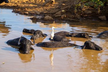 Similar image 21994685