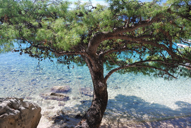 Similar image 21994702