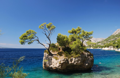 Similar image 21994705